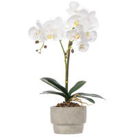 KÜNSTLICHE ORCHIDEE Zementtopf Orchi 49 cm - Multicolor, Kunststoff (49cm) - Ibergarden
