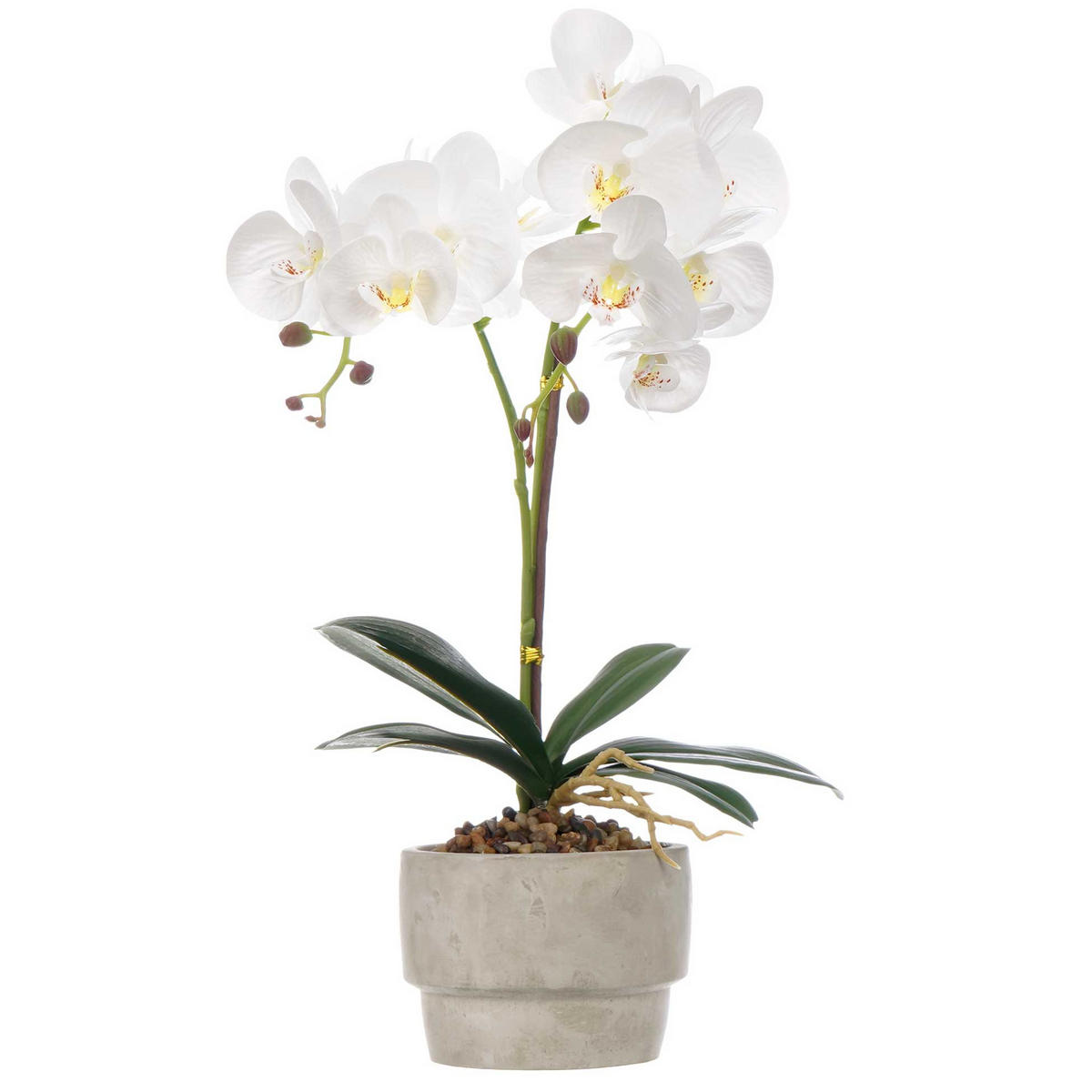 KÜNSTLICHE ORCHIDEE Zementtopf Orchi 49 cm - Multicolor, Kunststoff (49cm) - Ibergarden