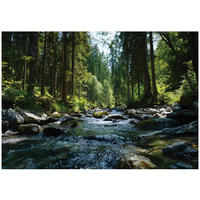 FOTOTAPETE Wald Fluss Grün 150x105 cm - Multicolor, Papier (150/105cm) - Wallarena