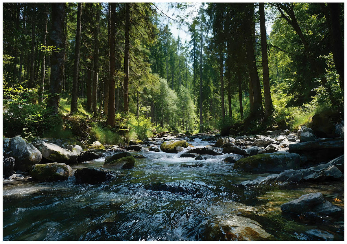 FOTOTAPETE Wald Fluss Grün 150x105 cm - Multicolor, Papier (150/105cm) - Wallarena