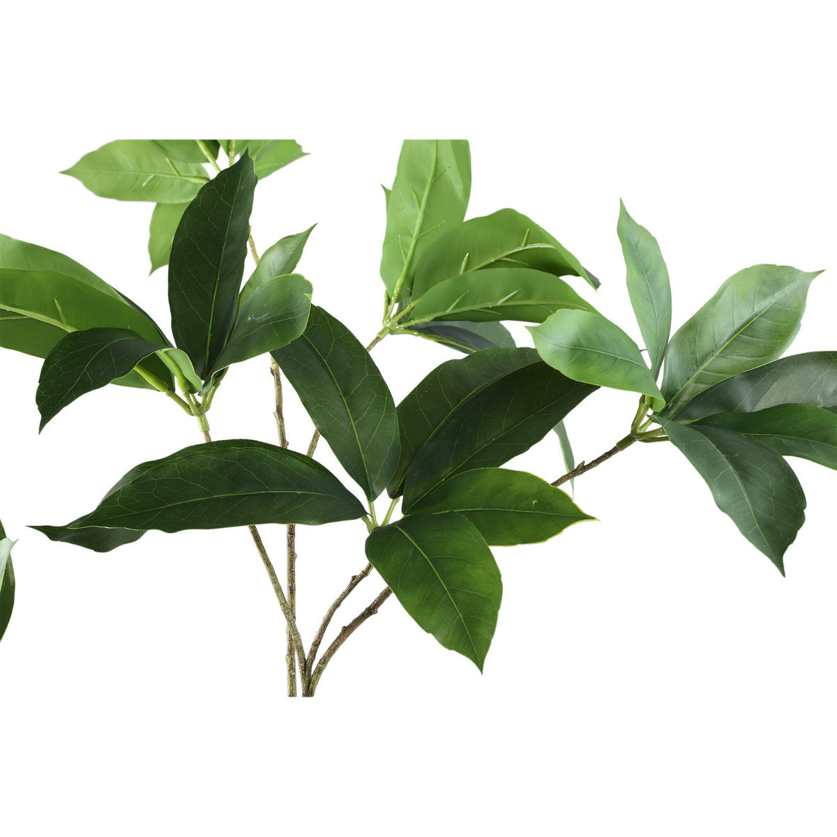 KUNSTBLATT Leaves Grün 90/54/120cm - Grün, Textil (54/120/90cm) - PTMD Collection