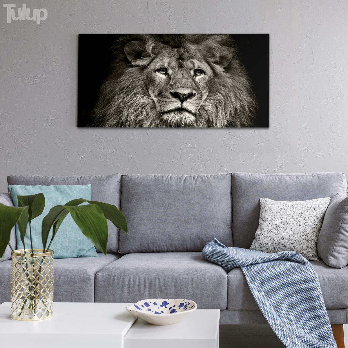 GLASBILD 120x60 cm Löwe Tier - Anthrazit, Glas (120/60cm) - TULUP