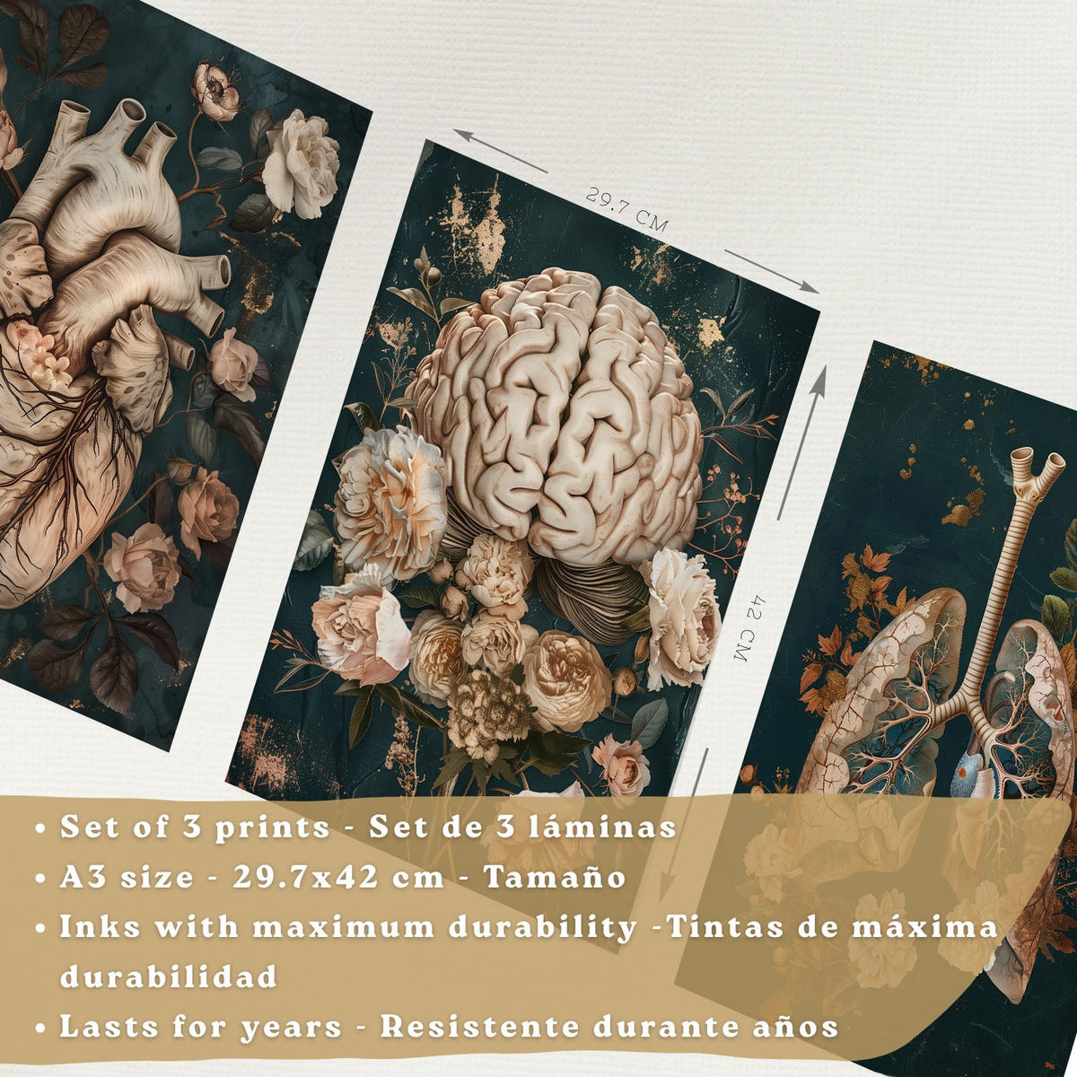 POSTER Set aus 3 Anatomie Drucke und Dekorative Wandbilder mit Herz Gehirn Lungen Atmungssystem Florales Grün Gold Design Größe Leichter Holzrahmen A3 - Beige, Papier (29.7/42/3cm) - Nacnic