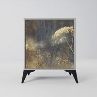SIDEBOARD GENTLE POWER, Grau, 57,5x42x70,5 cm, Schwarze Metall-Sternfüße - Multicolor/Schwarz, Holzwerkstoff/Metall (57.5/70.5/42cm) - SpaceRebels