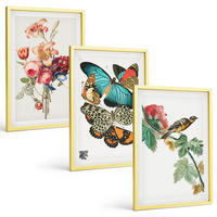 BILDER SET 3er Set - 40x60 cm Goldrahmen - Blumen, Schmetterlinge, Vögel, Pastellfarben - Goldfarben, Kunststoff (40/60cm) - TULUP
