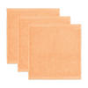 SEIFTUCH SUPERWUSCHEL 3ER PACK - Sandfarben, Textil (30/30cm) - MÖVE