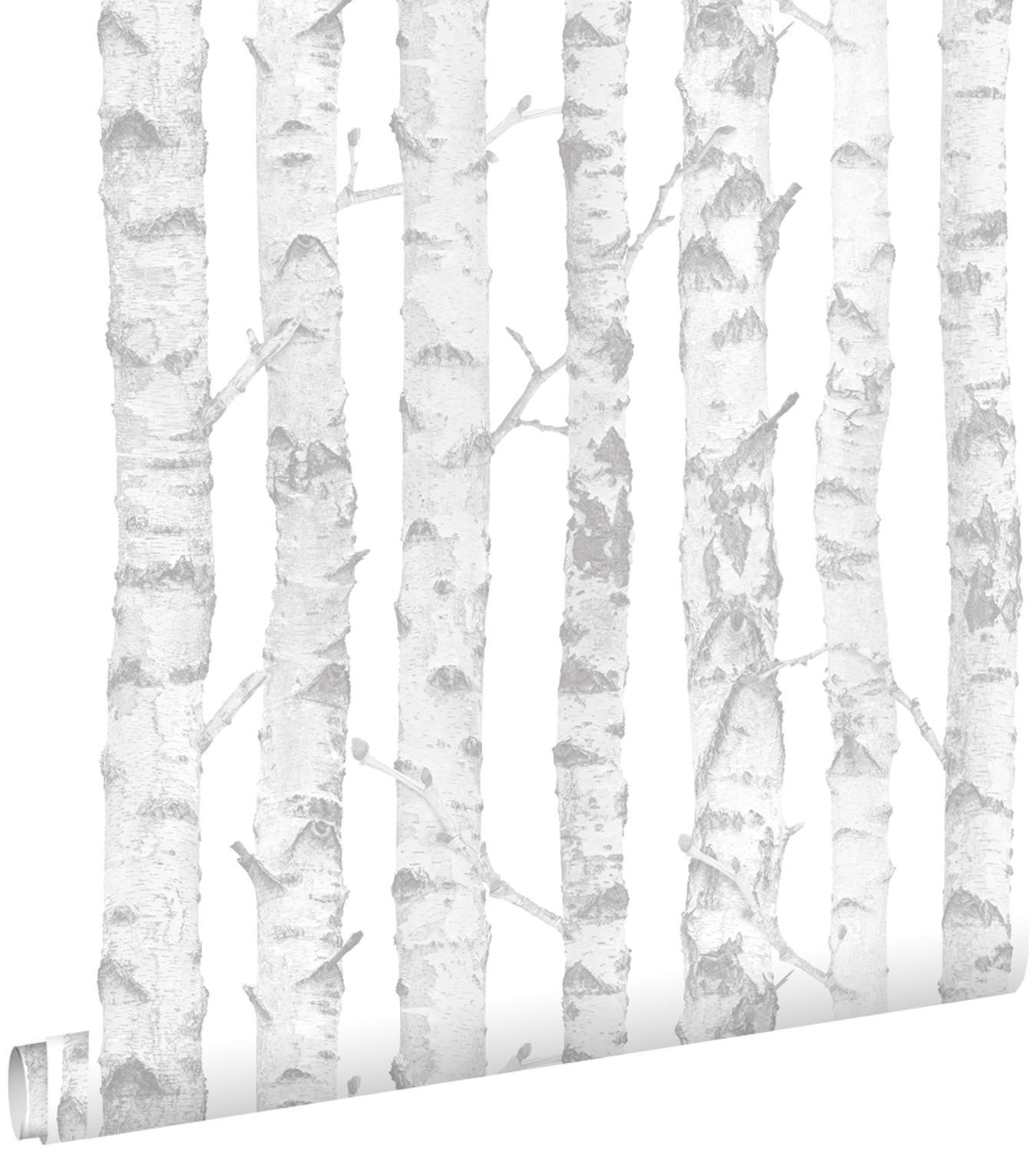 TAPETE Birkenstämme 53 cm x 10.05 m - Weiß, Papier (53/0.1cm) - ESTAhome