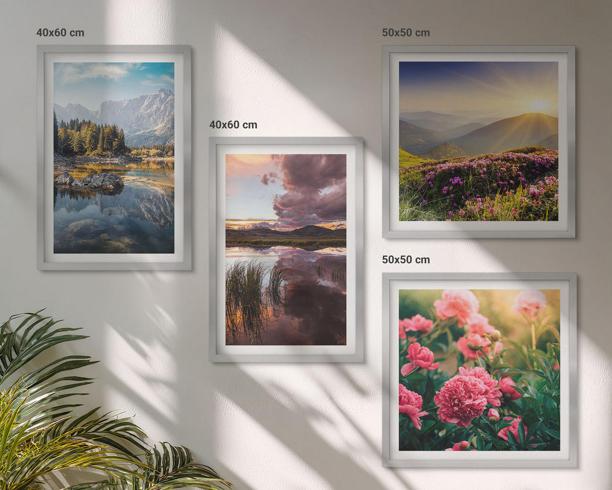 WANDBILDER 4er Set - 50x50 cm & 40x60 cm Silberner Rahmen - Blumengarten, Bergwiese, Wasser - Silberfarben, Kunststoff (50/50cm) - ArtPrintCave