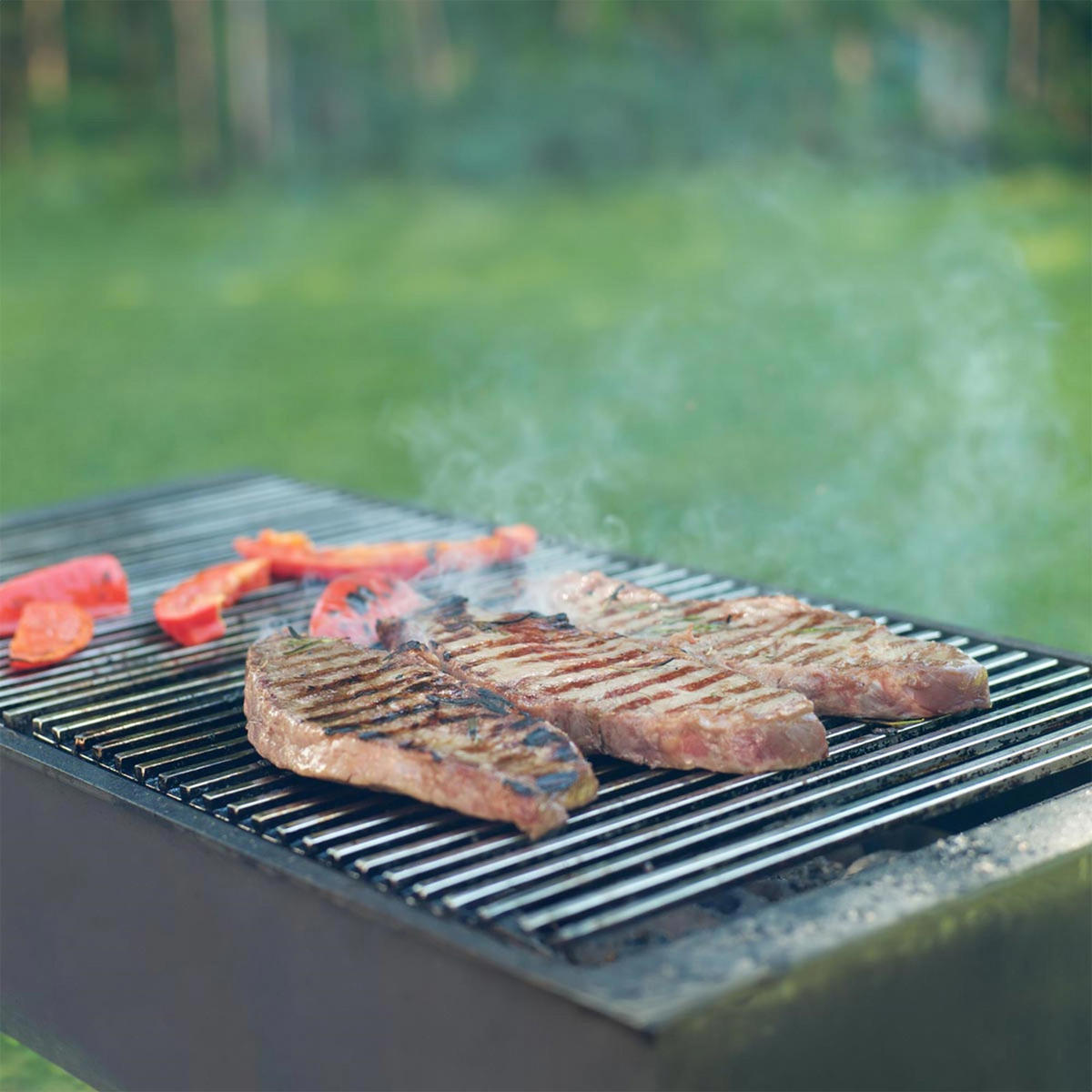 GRILLROST - Silberfarben, Metall (34/54cm) - BBQ Boss