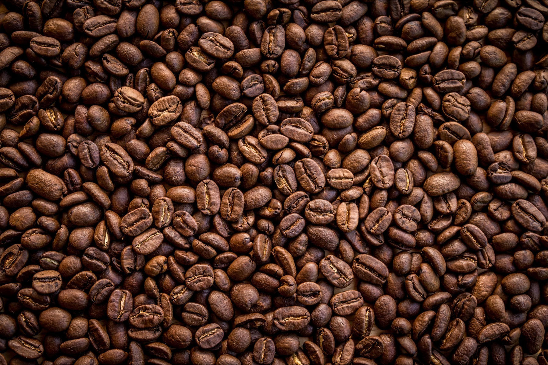 FOTOTAPETE röstfrische Kaffeebohnen 3D 300x210cm - Schwarz/Braun, Papier (300/210cm) - Muralo