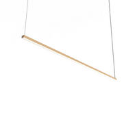 LED-HÄNGELEUCHTE - Goldfarben, Metall (2/100/2cm) - Lumicom