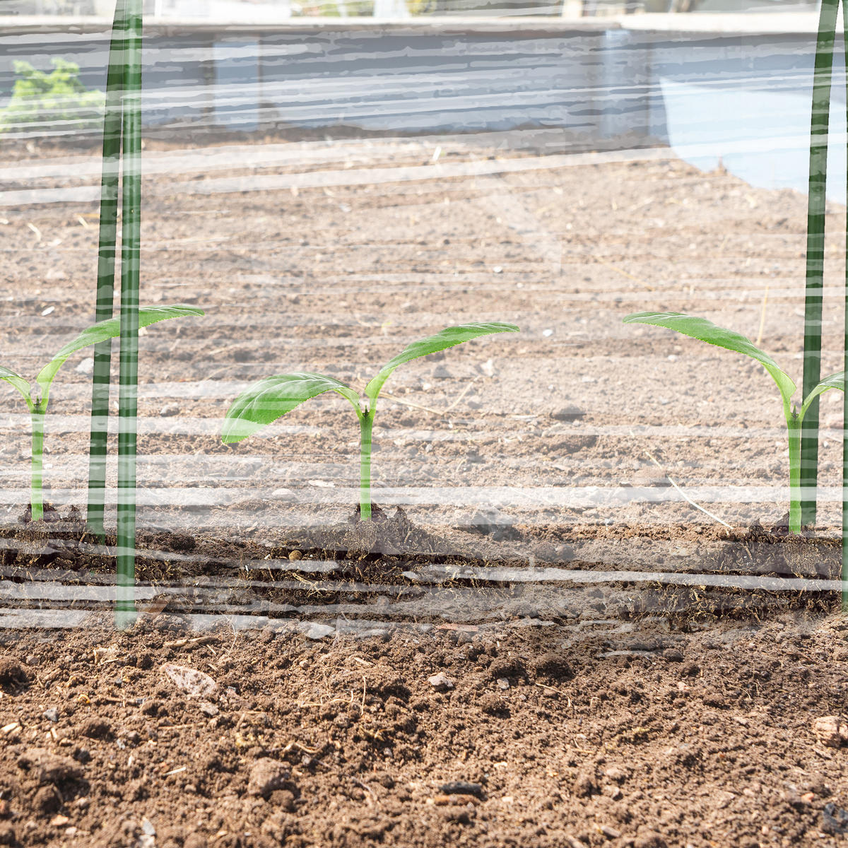 6XTUNNELBÖGEN - Dunkelgrün, Kunststoff/Metall (62/60/1cm) - Relaxdays