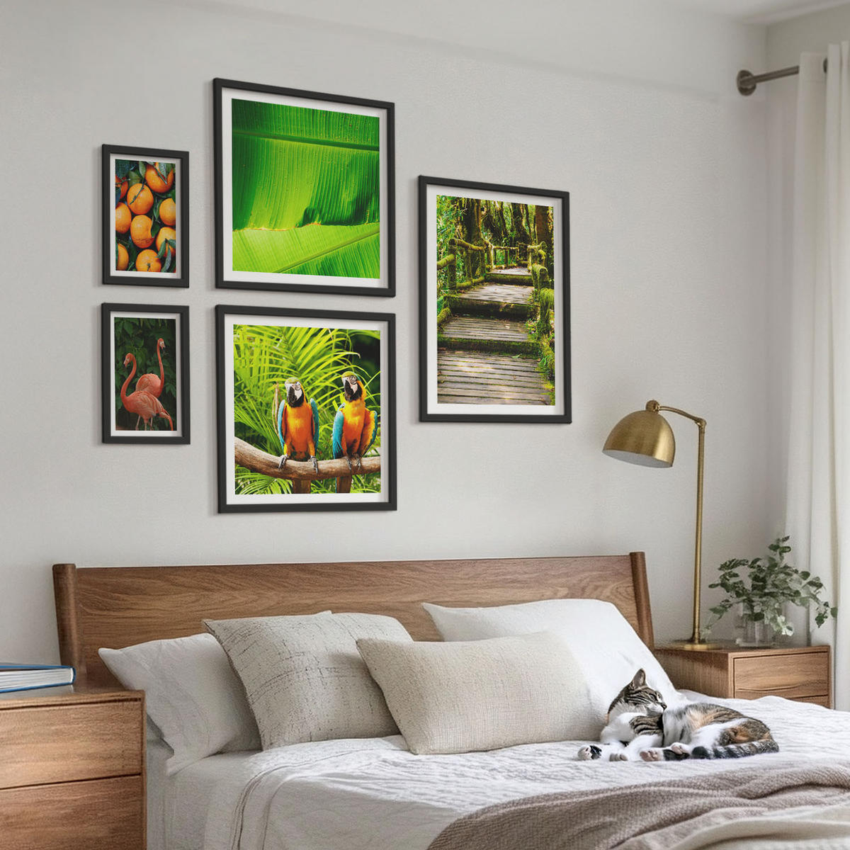 WANDBILDER 5er-Set - 50x50 cm & 20x30 cm & 40x60 cm Schwarzer Rahmen - Fruchtige Akzente der Tropen - Schwarz, Kunststoff (40/60cm) - ArtPrintCave