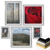 WANDBILDER 5er Set - 50x50 cm & 20x30 cm & 40x60 cm Silberner Rahmen - Rote Rosen auf pferdegrauem Hintergrund - Silberfarben, Kunststoff (40/60cm) - ArtPrintCave