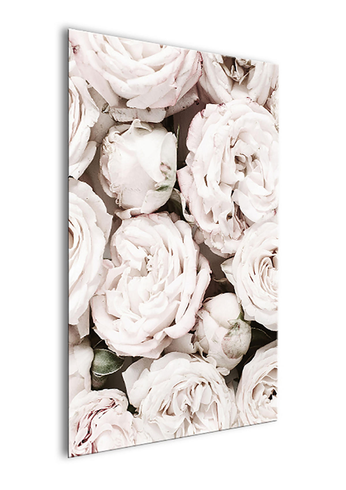 BILD 20x30 cm Blumen Rosen Weiß Rosé - Beige, Holzwerkstoff (20/30/2cm) - artissimo