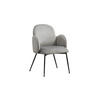 ESSZIMMERSTUHL DEON Grau Velvet - Grau, Textil (59/84/62cm) - KAWOLA