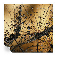 FOTOTAPETE 250x250 cm - Zarte Tropfen - Weiß, Textil (250/250cm) - Wallfluent