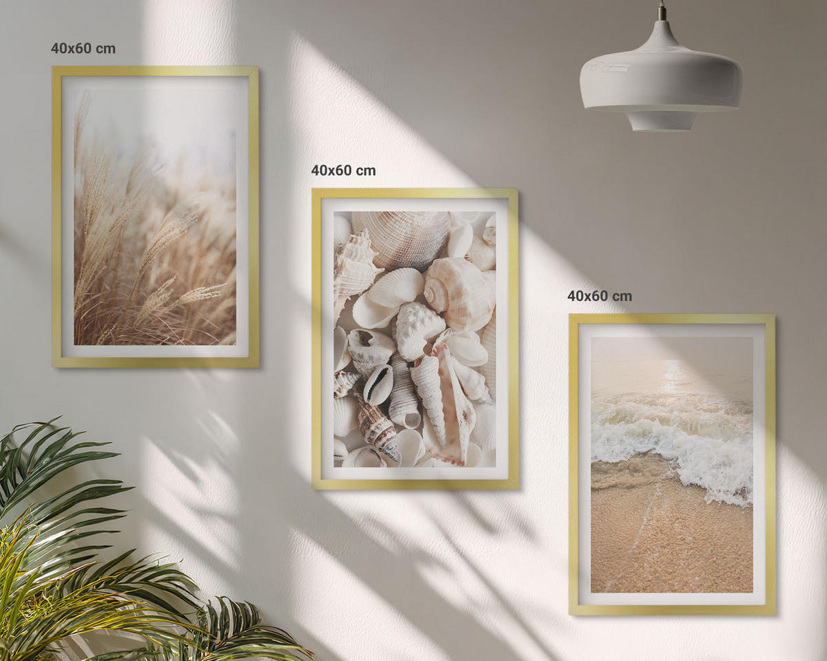 WANDBILDER 3er Set - 40x60 cm Goldrahmen - Strandmotive, Muscheln, Wellen - Goldfarben, Kunststoff (40/60cm) - ArtPrintCave