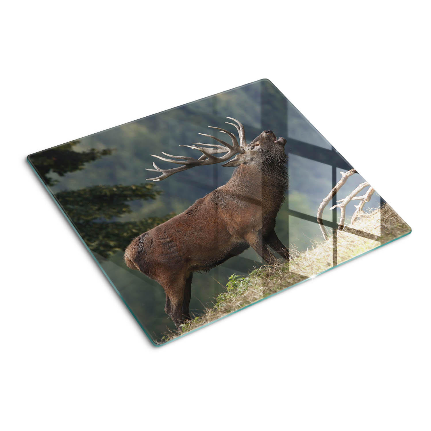 GLASPLATTE 60x52 cm Hirsch auf dem Hügel - Braun, Glas (60/0.4/52cm) - TULUP