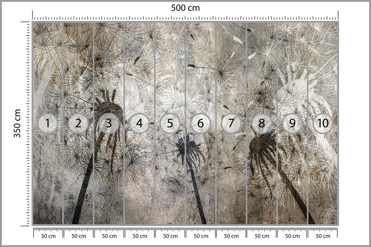FOTOTAPETE Pusteblumen Beton Retro Stil 500x350 - Beige/Braun, Papier (500/350cm) - Muralo