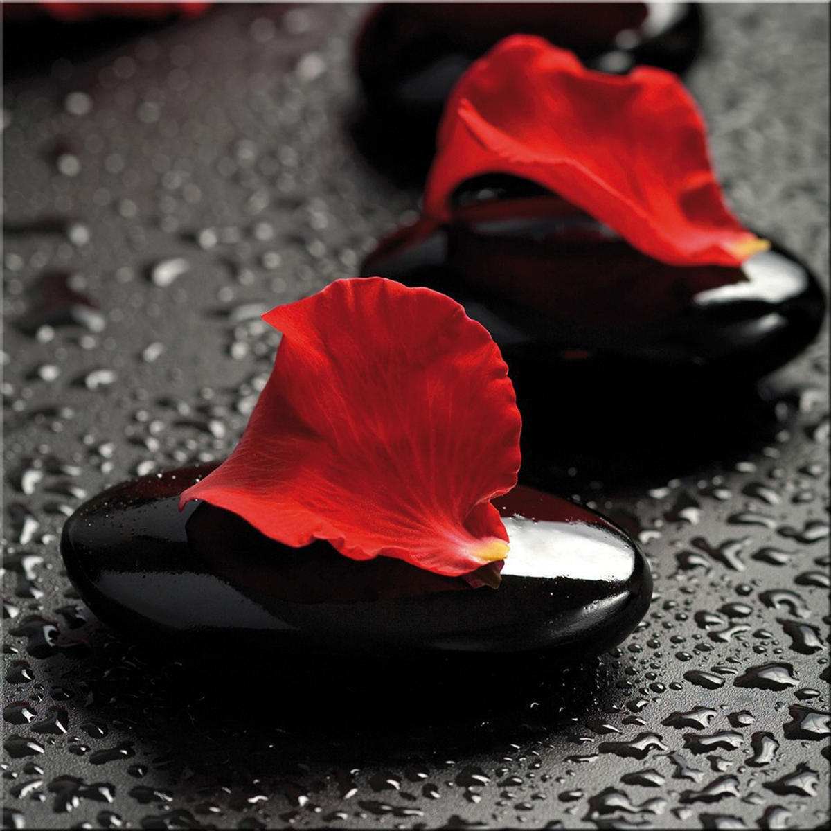 GLASBILD 30×30 cm Zen - Anthrazit, Glas (30/30cm) - artissimo