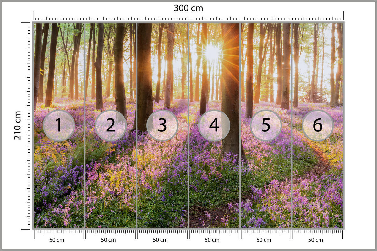 FOTOTAPETA Les Kvety Východ Slnka Krajina 3D 300 x 210 cm - oranžová/hnedá, papier (300/210cm) - Muralo