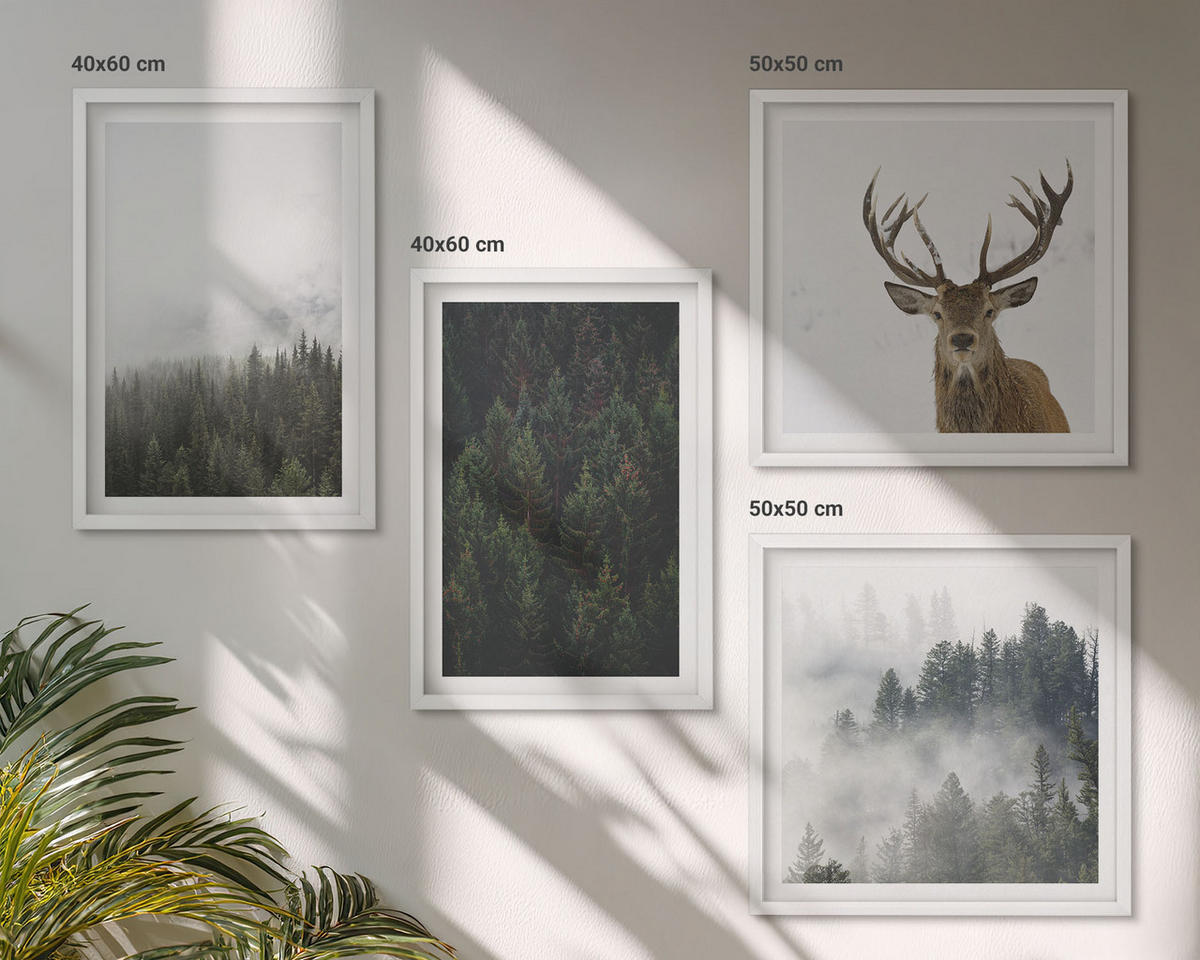 BILDER SET 4er Set - 50x50 cm & 40x60 cm Weißer Rahmen - Grüne Wälder, neblige Landschaft - Weiß, Kunststoff (50/50cm) - TULUP