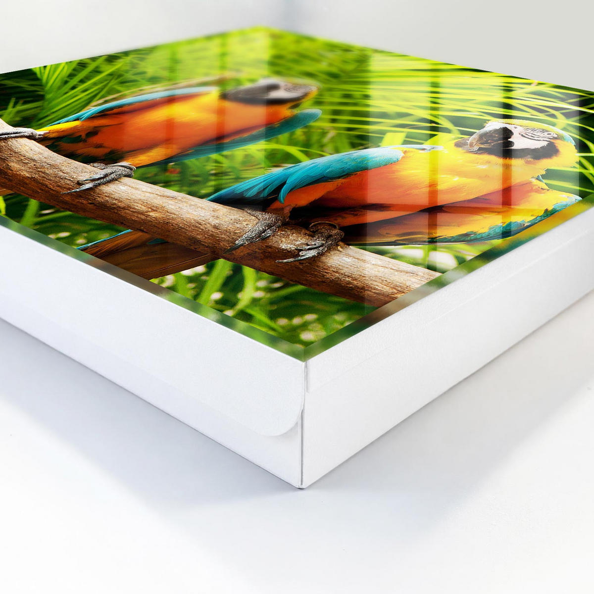 SCHLÜSSELBOX Weiß 30x30 cm – Türöffnung nach rechts - Tropische Vögel - Grün, Metall (30/30/5cm) - TULUP