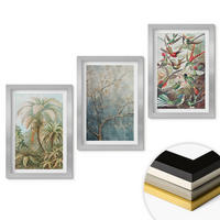 WANDBILDER 3er Set - 20x30 cm Silberner Rahmen - Tropische Pflanzen, Vögel, Natur - Silberfarben, Kunststoff (20/30cm) - ArtPrintCave