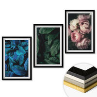 WANDBILDER 3er-Set - 40x60 cm Schwarzer Rahmen - Blätter, Blüten, verschiedene Farben - Schwarz, Kunststoff (40/60cm) - ArtPrintCave