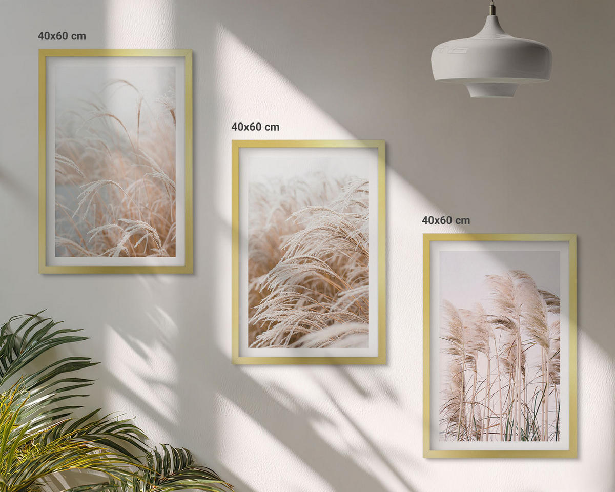 WANDBILDER 3er Set - 40x60 cm Goldrahmen - Grasflächen in Braun- und Beigetönen - Goldfarben, Kunststoff (40/60cm) - ArtPrintCave