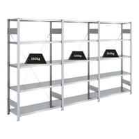 SCHWERLASTREGAL Silver Mamba 200x300x40cm 5 Ebenen je 150kg Fachlast Verzinkt - Silberfarben, Metall (300/200/40cm) - PROREGAL