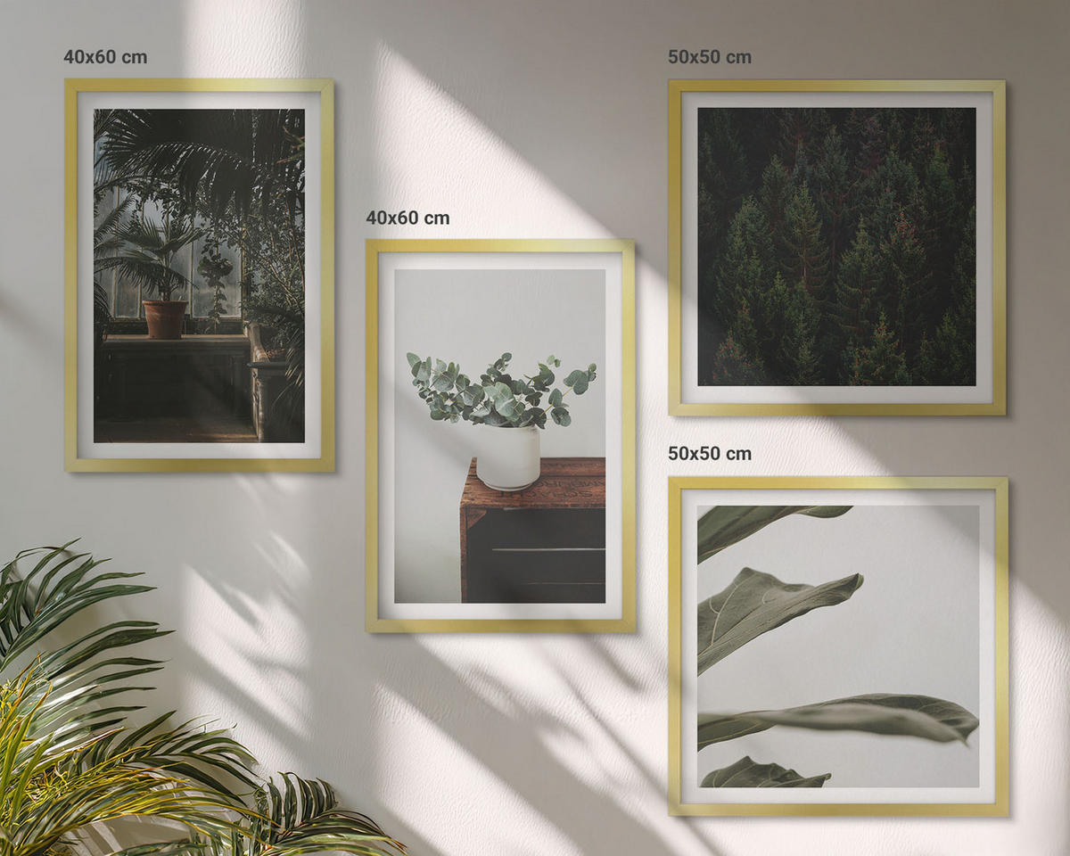 BILDER SET 4er Set - 50x50 cm & 40x60 cm Goldrahmen - Rustikale Topfpflanzen - Goldfarben, Kunststoff (50/50cm) - TULUP