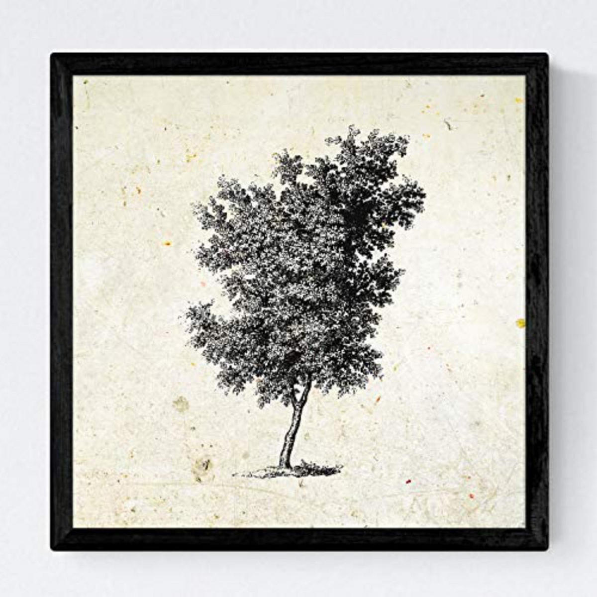 POSTER Set mit 4 Blättern der verschiedene Richtungen Jahrgang Hintergrund 30x30 cm Rahmenlos - Klar, Papier (30/3cm) - Nacnic