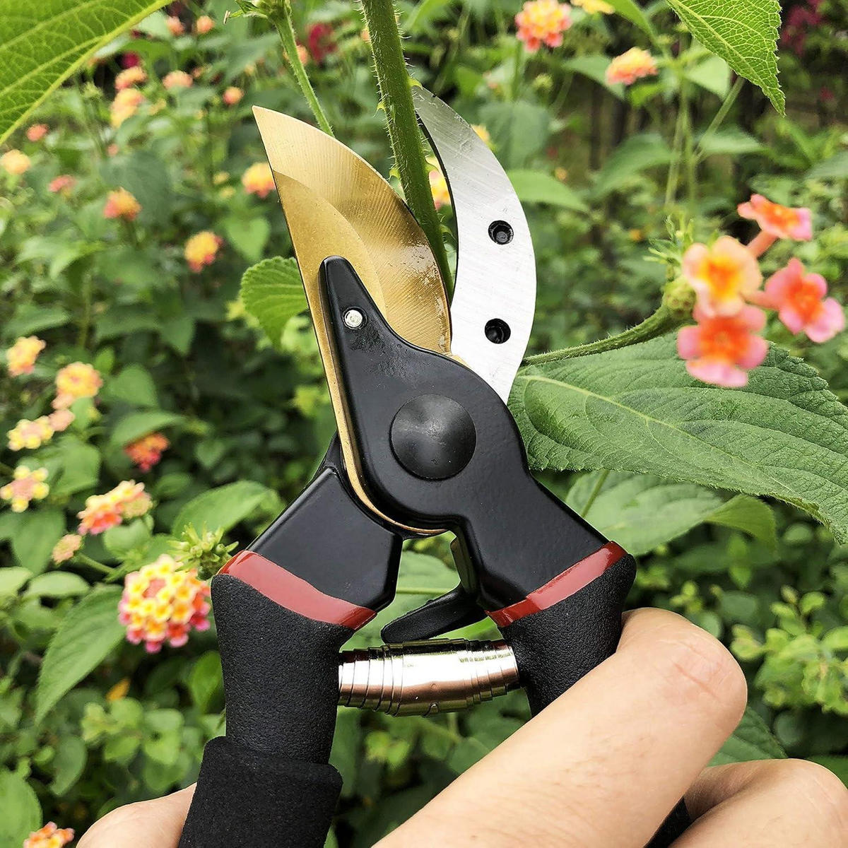 GARTENSCHERE Bypass SK5 Stahl Titanbeschichtet - Multicolor, Metall (9.7/0.1/28cm)