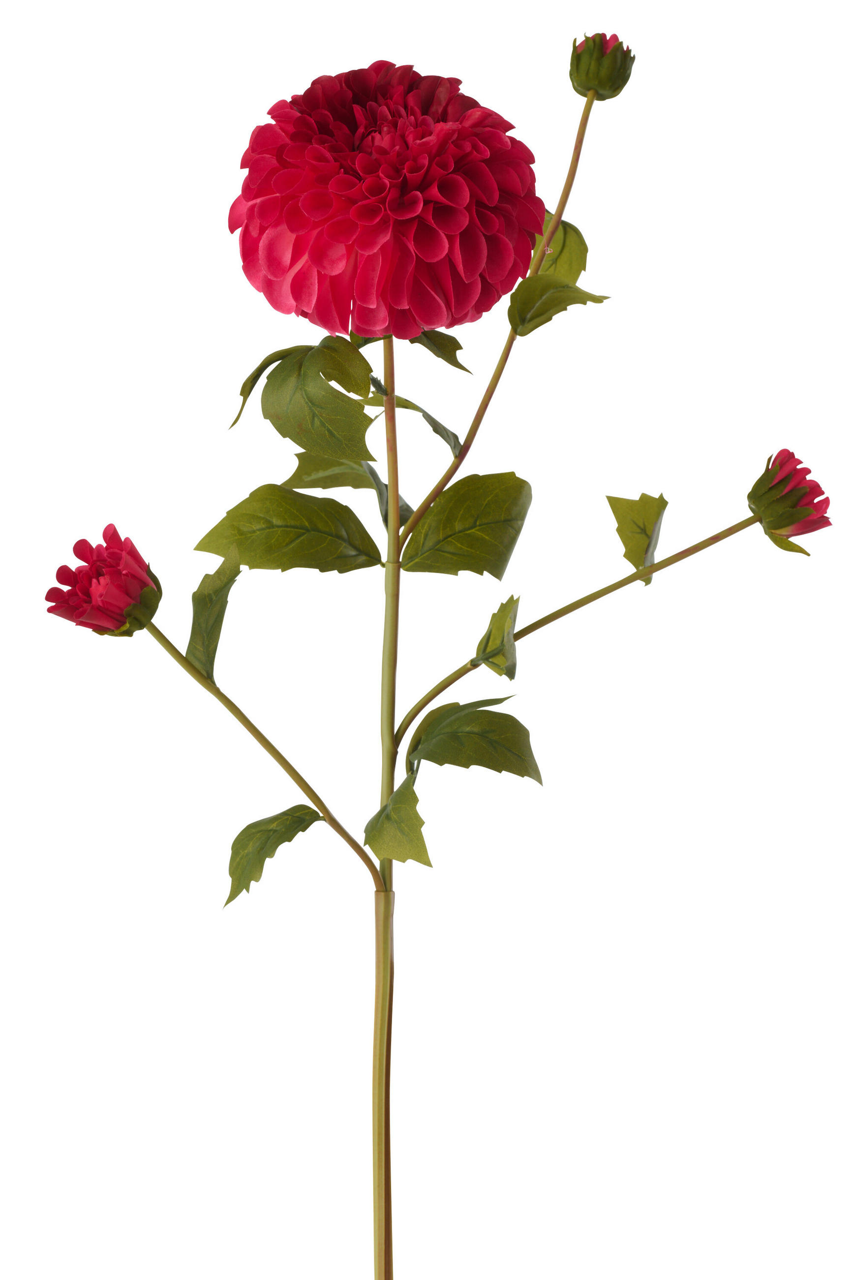 BLUME DAHLIE GEFÜHLSECHT Rosa - Pink, Kunststoff (77cm) - J-Line
