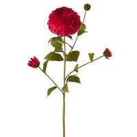 BLUME DAHLIE GEFÜHLSECHT Rosa - Pink, Kunststoff (77cm) - J-Line