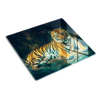 GLASPLATTE 60x52 cm Tigerhöhle - Orange, Glas (60/52cm) - TULUP