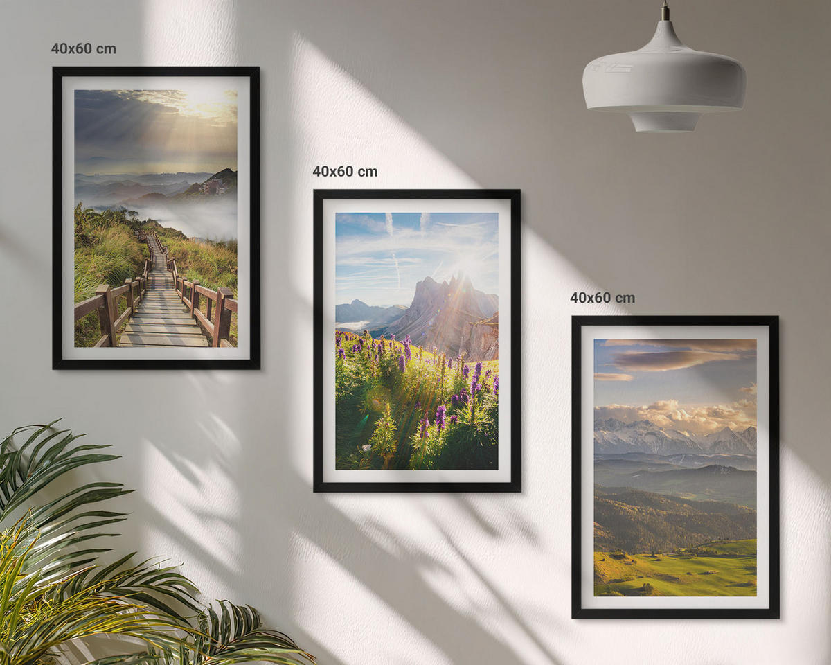 BILDER SET 3er Set - 40x60 cm Schwarzer Rahmen - Berglandschaft mit Blumen - Schwarz, Kunststoff (40/60cm) - TULUP
