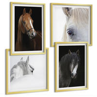 BILDER SET 4er Set - 50x50 cm & 40x60 cm Goldrahmen - Pferdeporträts in Schattierungen - Goldfarben, Kunststoff (50/50cm) - TULUP