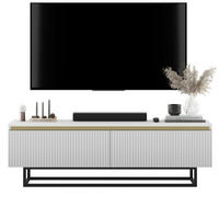 TV-SCHRANK Selene Weiß Matt mit Metallrahmen 140 cm - Schwarz/Weiß, Holzwerkstoff/Metall (140/44/35cm) - Meble Lindner