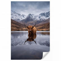TAPETE - Schottischer Hochländer - Braun - Wasser - 140x200 cm - Braun, Papier (140/200cm) - OnlyWow