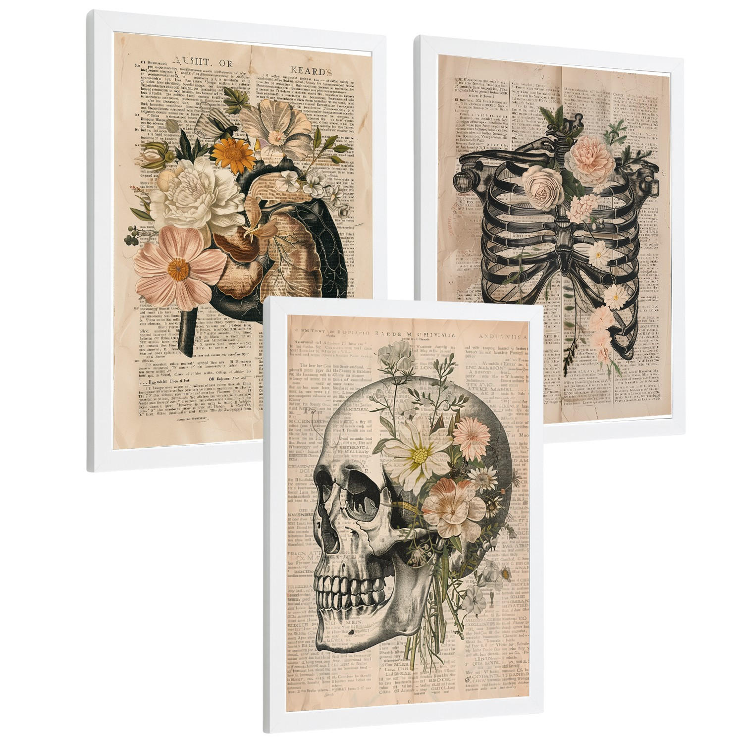 POSTER Set aus 3 Anatomie Mensch Drucke und Wandbilder mit Leber Rippen und Schädel Retro Floraler Stil Wanddekoration Größe Weißer Rahmen A3 - Weiß, Papier (29.7/42/3cm) - Nacnic