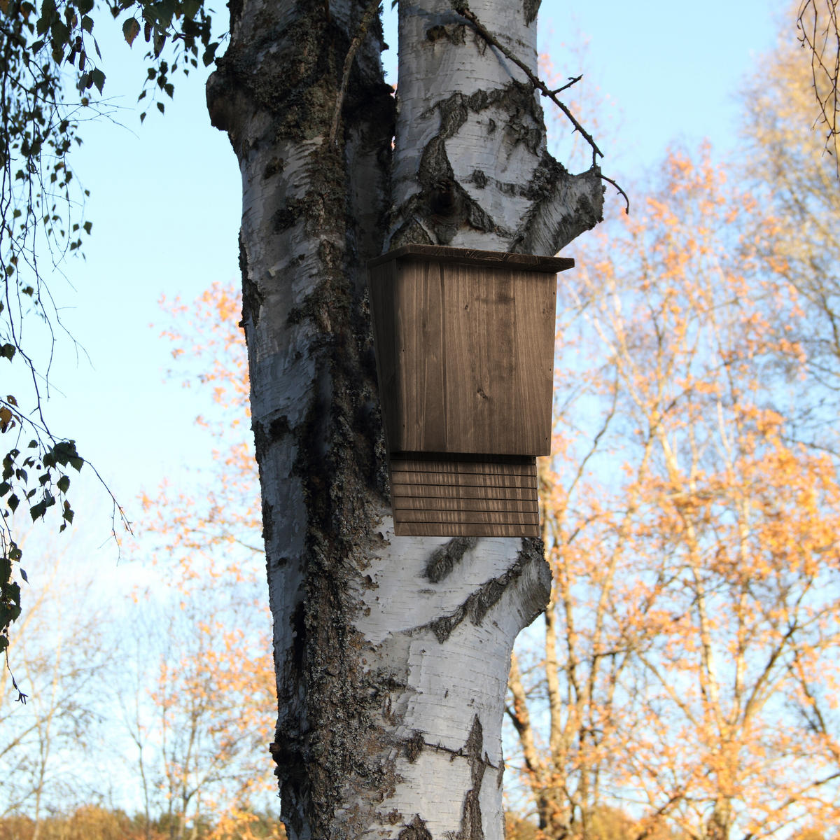 FLEDERMAUSKASTEN - Braun, Holz/Metall (22/37/12.5cm) - Relaxdays