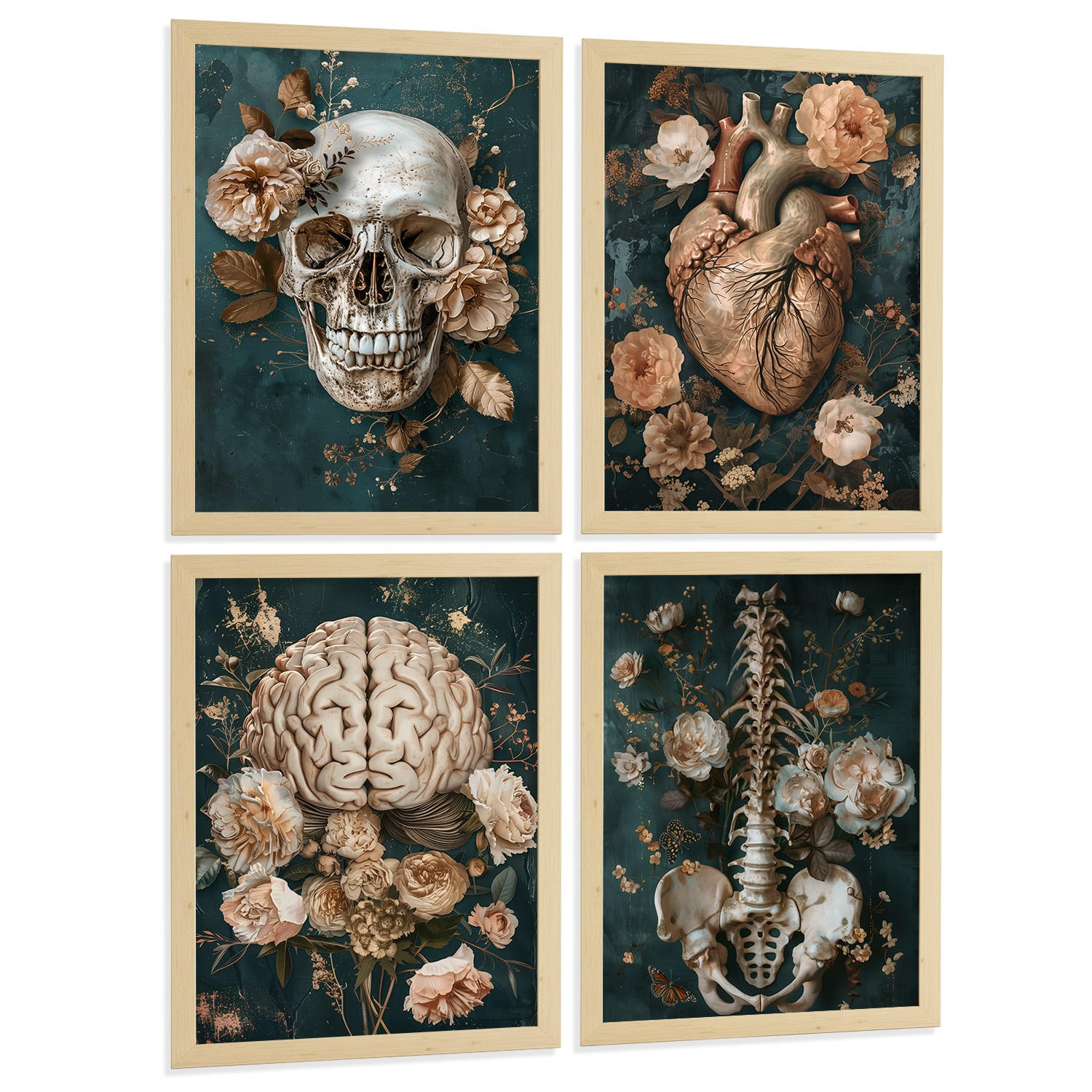 POSTER Set aus 4 Anatomie Drucke und Wandbilder mit Schädel Herz Gehirn Wirbelsäule Skelett Becken Klassisches Florales Design Größe Rahmenlos A3 - Klar, Papier (29.7/42/3cm) - Nacnic