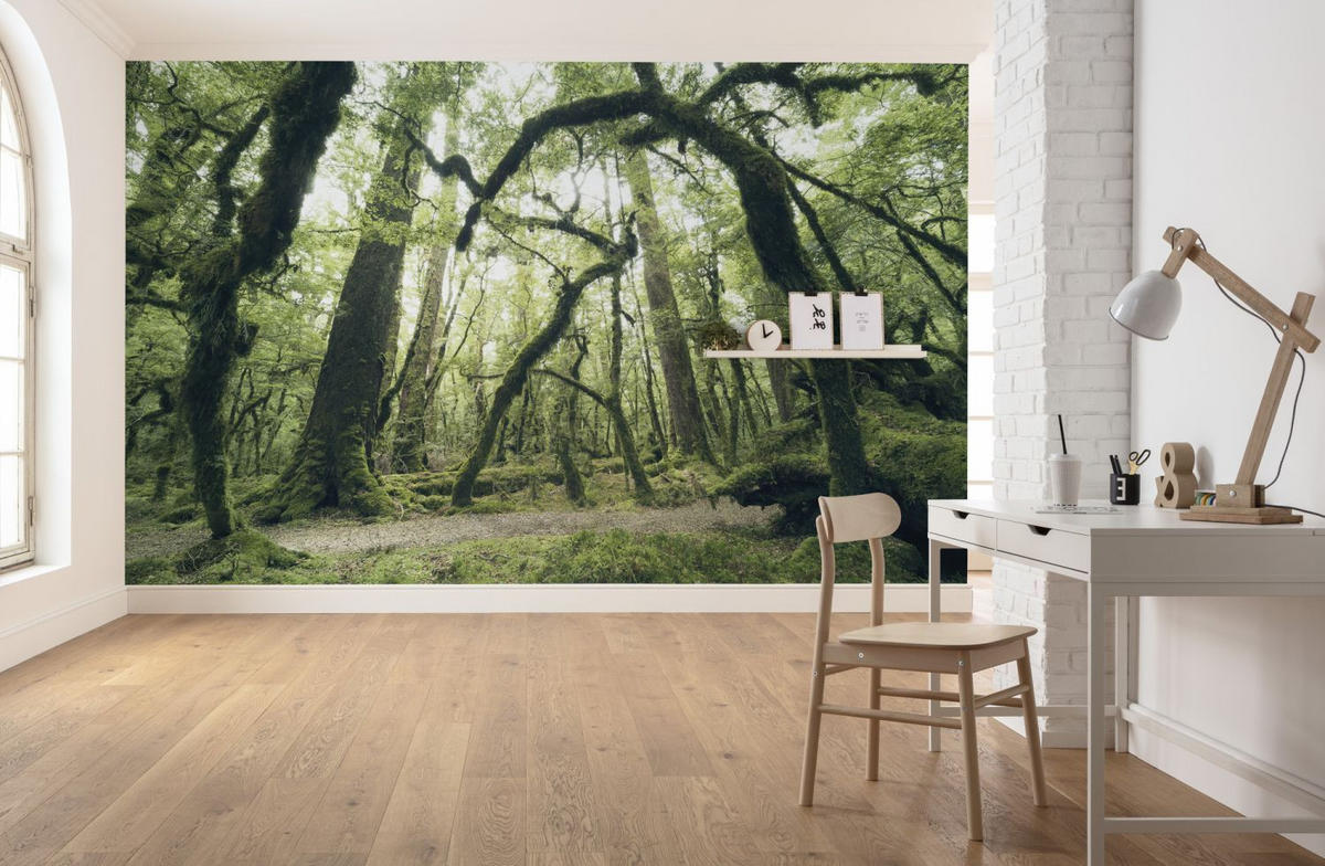 FOTOTAPETE Wald 450 x 280 cm - Grün, Papier (450/280cm) - Sanders & Sanders