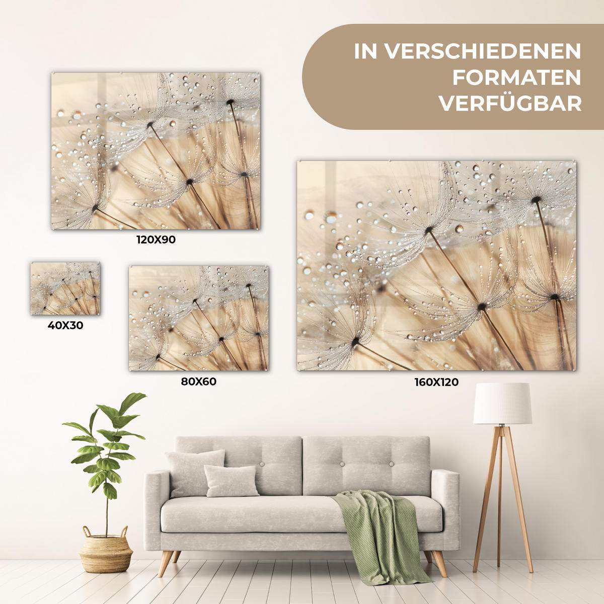 OBRAZ NA AKRYLOVOM SKLE Púpava - Abstraktné - Príroda - Béžová 80x60 cm - hnedá, sklo (80/60cm) - MuchoWow