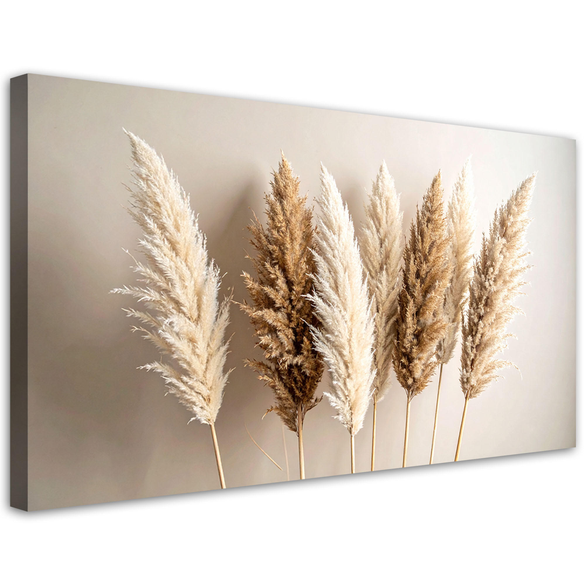 Feeby Leinwandbild Beige 120x60 cm