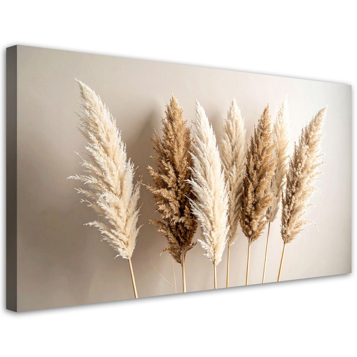 LEINWANDBILD Natur und Botanik 80x40cm - Beige, Textil (80/40cm) - Feeby