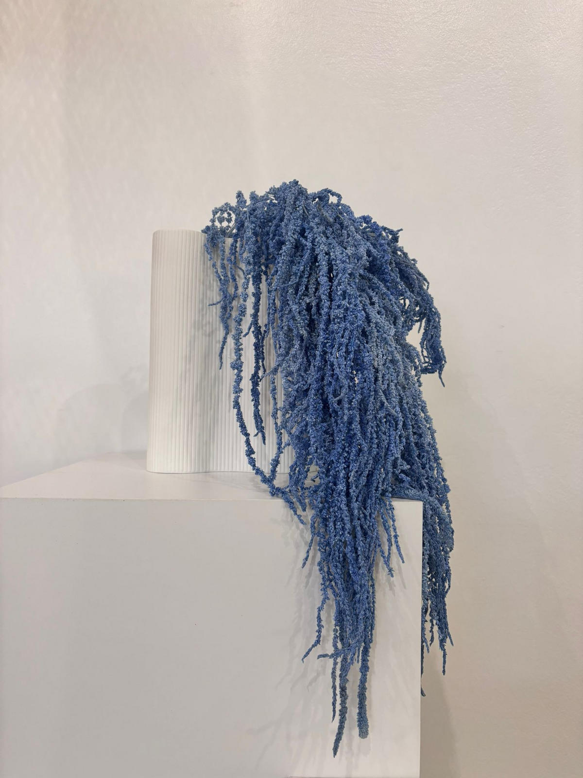 AMARANTHUS Stiele - curry / 30 cm - Currygelb, Naturmaterialien (30cm) - Lykke & You